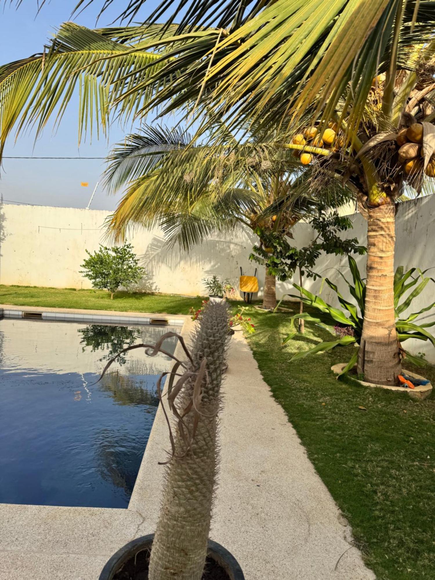 La Baraka, Extravagant Villa For 8 With Pool In Saly Gandigal Extérieur photo